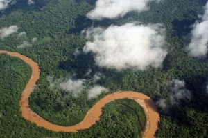 amazonia